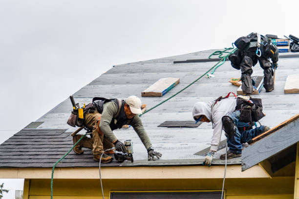 Professional Roof Replacement technician working in Forestville, WI